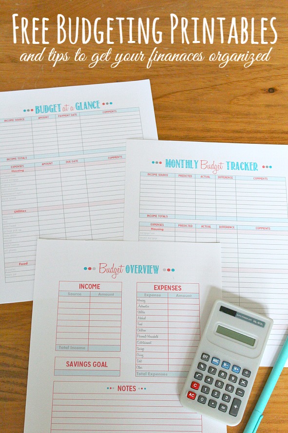 Free budget printables from Clean and Centsible